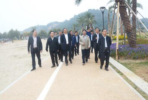 上饒市人大副主任、鄱陽縣縣委書記張禎祥蒞臨新昌南湖西河濕地公園項目