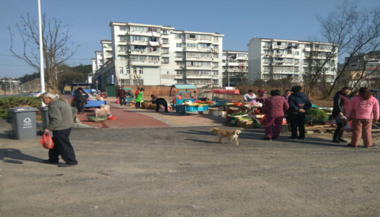 雙創(chuàng)雙修、美化環(huán)境