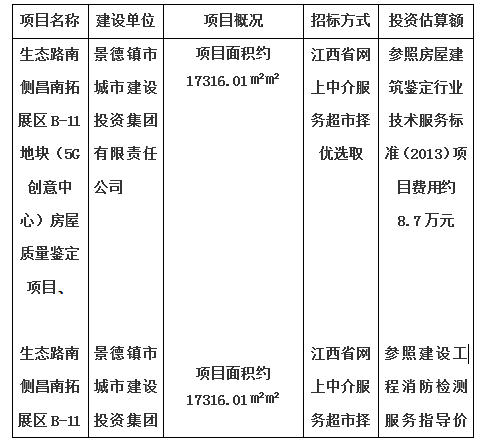 生態(tài)路南側(cè)昌南拓展區(qū)B-11地塊（5G創(chuàng)意中心）房屋質(zhì)量鑒定項目、生態(tài)路南側(cè)昌南拓展區(qū)B-11地塊（5G創(chuàng)意中心）消防安全評估項目計劃公告
